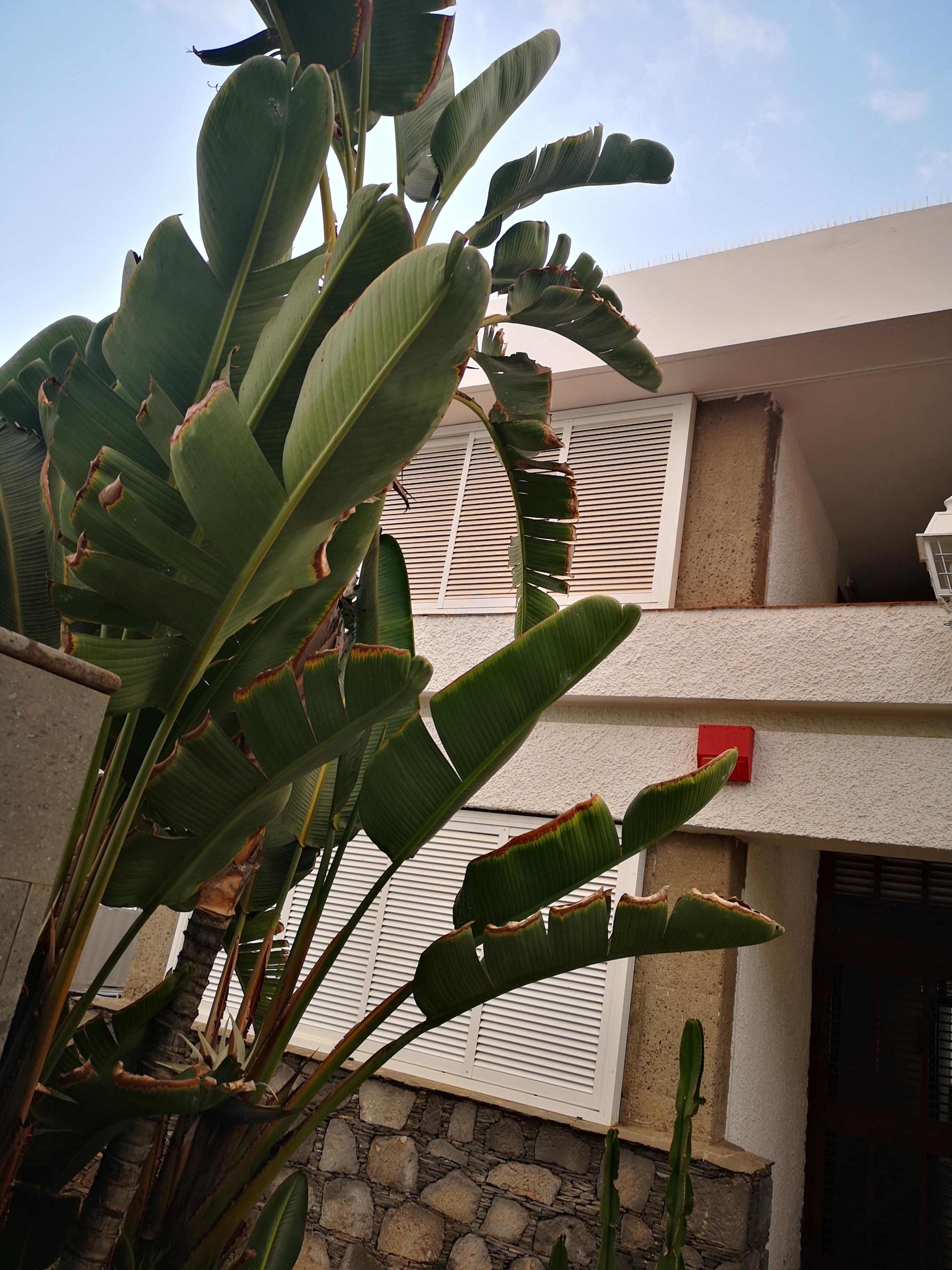 Apartamentos Tamara Maspalomas  Esterno foto